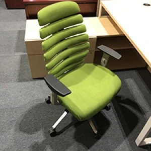 green ergonomic chair
