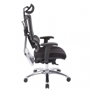 Ergonomic Chair with adjustable lumbar support